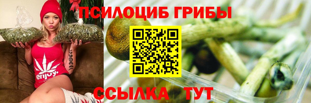 Псилоцибиновые грибы Psilocybe  наркота  Алексеевка  Вход с VPN  Галлюциногенные грибы Magic Shrooms 