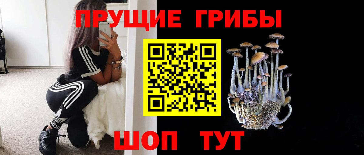 Псилоцибиновые грибы Psilocybine cubensis Алексеевка